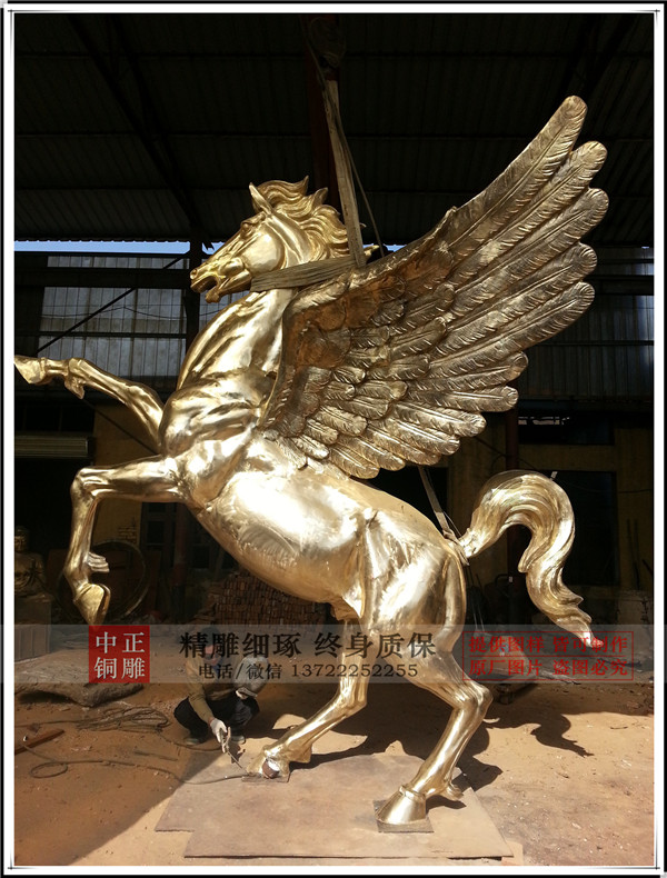 20131023_131421_1.jpg 20131023_131421_1.jpg